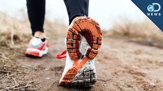 Why You Need To Walk 10,000 Steps A Day