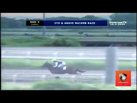 (Asiong) 3 Y/O & Above Maiden Race (Oct. 4, 2020 Race 9)