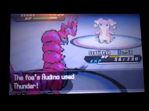 PB2 PWT Rental-Only Run Part 1 - Dem Bugs