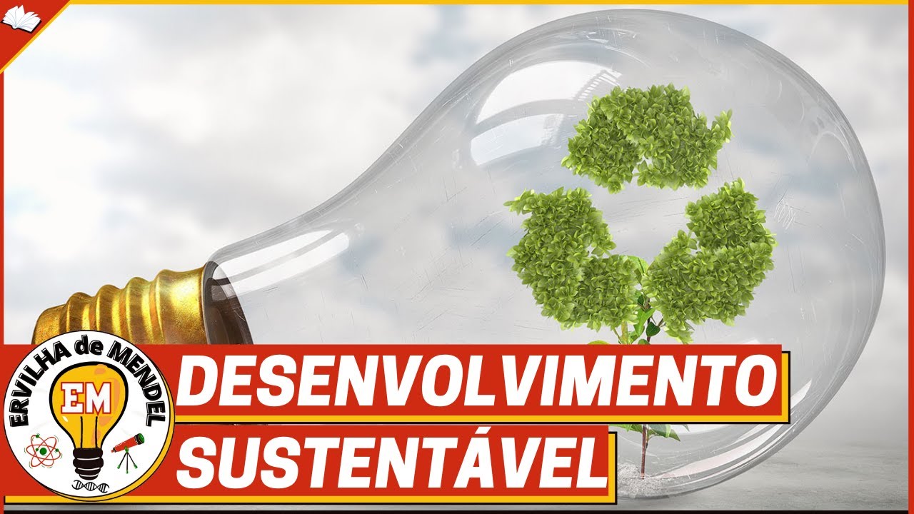 O QUE É DESENVOLVIMENTO SUSTENTÁVEL