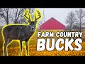 DEER HUNTING FARM COUNTRY Find Big Bucks With These TIPS