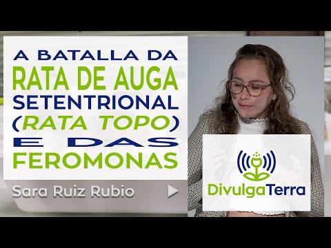 Vídeo: A batalla da rata de auga setentrional (rata topo) e das feromonas