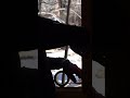 Expert Window Installation | Bellwether Windows, Siding, and Doors