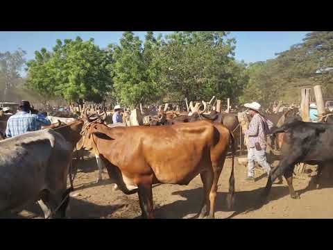 Martes 10 de marzo 2026, tiangue de El Tránsito, San Miguel, El Salvador