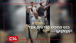 "מה ראינו כאן?": בנט מחפש מנדטים אצל הכלבים (חדשות ערוץ 14) - התמונה מוצגת ישירות מתוך אתר האינטרנט יוטיוב. זכויות היוצרים בתמונה שייכות ליוצרה. קישור קרדיט למקור התוכן נמצא בתוך דף הסרטון "מה ראינו כאן?": בנט מחפש מנדטים אצל הכלבים (חדשות ערוץ 14) - התמונה מוצגת ישירות מתוך אתר האינטרנט יוטיוב. זכויות היוצרים בתמונה שייכות ליוצרה. קישור קרדיט למקור התוכן נמצא בתוך דף הסרטון