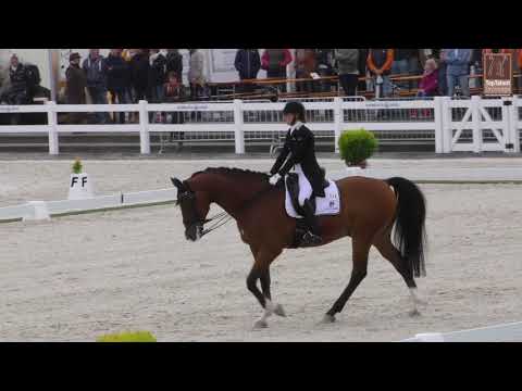 European Championships U25 Silver medal Individual Anne Meulendijks & MDH  Avanti 74.698%