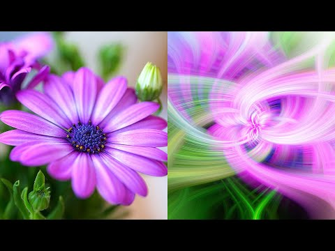 New Generate Entire AI Images in Photoshop with Adobe Firefly