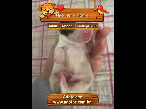 Vídeo de Não tem nome 