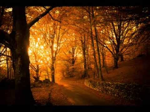 Ceca & Oliver Mandić - Vreme za ljubav istiće