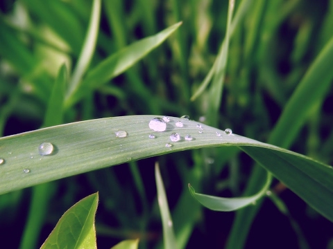 ⁣بث مباشر بواسطة Al Rabia الربيع