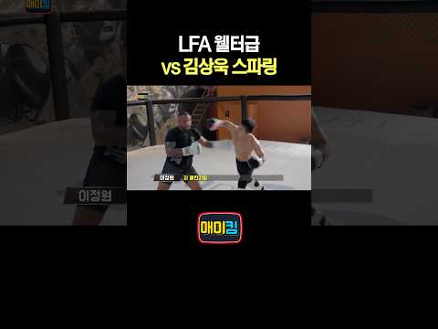 LFA 웰터급 vs 김상욱 스파링