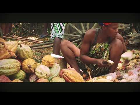 download lagu mp3 mp4 Kakaowiec, download lagu Kakaowiec gratis, unduh video klip Kakaowiec