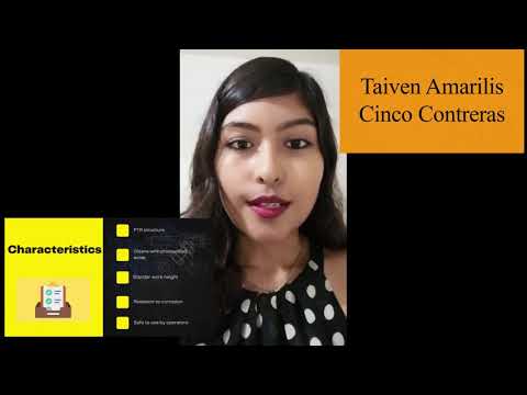 Exposición Ingles VIII Equipo Washtool II92M