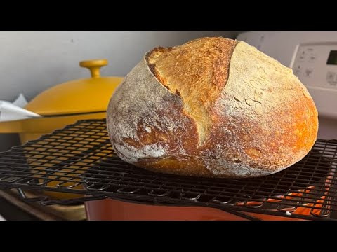 Sourdough for Dummies ✨