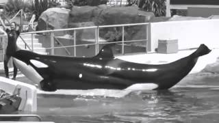 ~Say Something Freya~