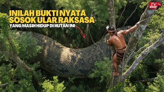 Download lagu SEDANG VIRAL‼️Rekaman Mengejutkan Ini Menampakkan Sosok Ular Raksasa di Pedalaman Hutan Amazon... mp3 Download lagu SEDANG VIRAL‼️Rekaman Mengejutkan Ini Menampakkan Sosok Ular Raksasa di Pedalaman Hutan Amazon... mp3