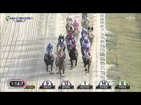 2011 The Minister of FAFF Cup (G2) - Dongseo Jeongbeol