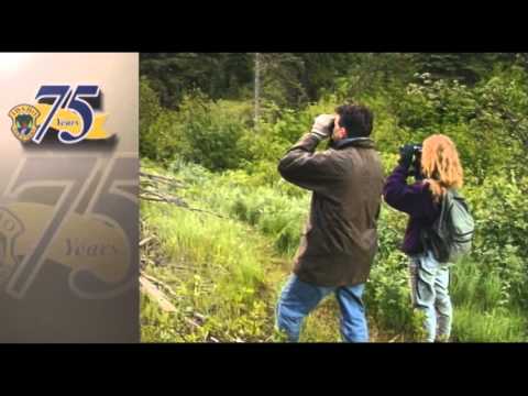 Hit the Trail: Songbirds