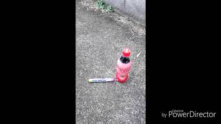 今さらだけどメントスコーラやってみた❗