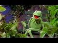 Muppet Mash