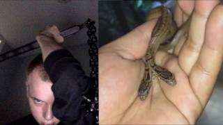 spooky black -  destrooy