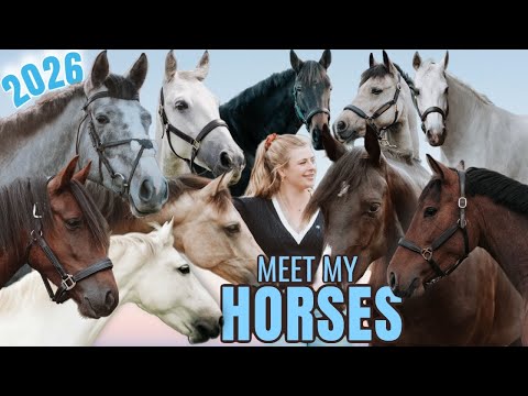 Meet My *10* Horse - Plans For 2026!