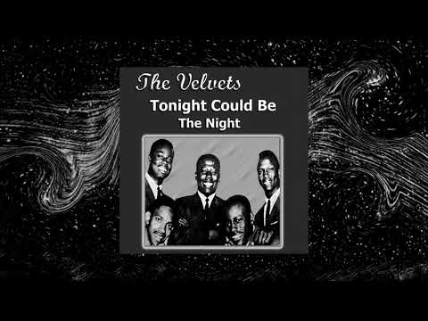 The Velvets ~ Tonight (Could Be The Night)
