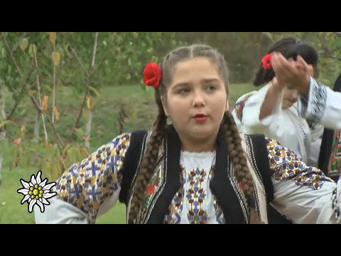 Avram Alexandra - Ciobanas din istovat