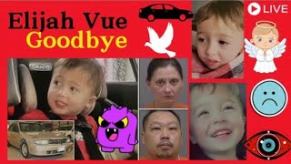 Elijah Vue - What happened to this baby? 😢