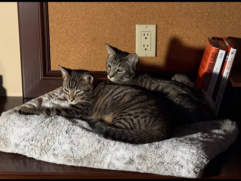 Episode 3042 CWSA 12/10/25