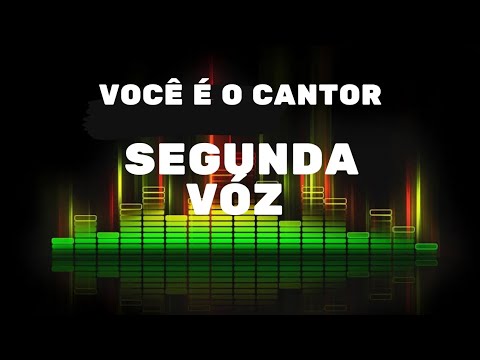 ZEZÉ DI CAMARGO  &  LUCIANO  - PRA NÃO PENSAR EM VOCÊ  (PLAYBACK ORIGINAL COM  2⁰VÓZ) 1998