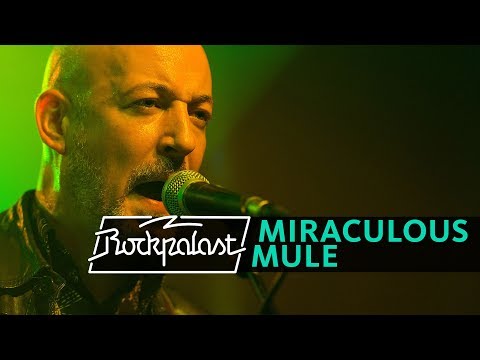 Miraculous Mule live | Rockpalast | 2015