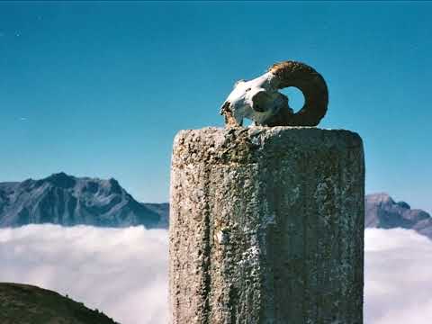 Molly Hatchet - Down from the mountain (Lyrics in description)