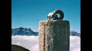 Molly Hatchet - Down from the mountain (Lyrics in description)