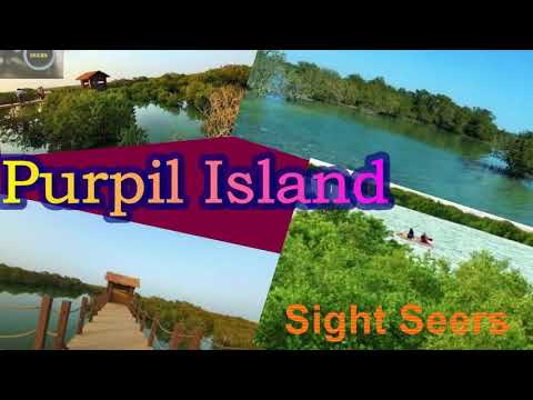 Purple Island: A ﻿﻿beautiful natural wonder in Qatar