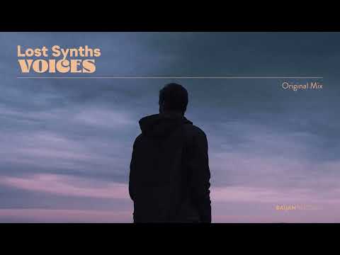 Lost Synths - Voices