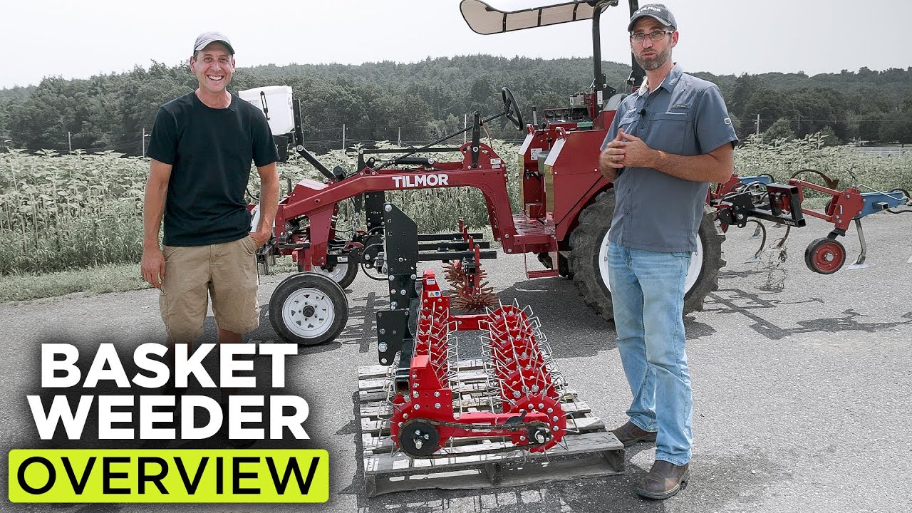 Basket Weeder Overview- The Best Cultivation Tool For Direct Seeded Crops