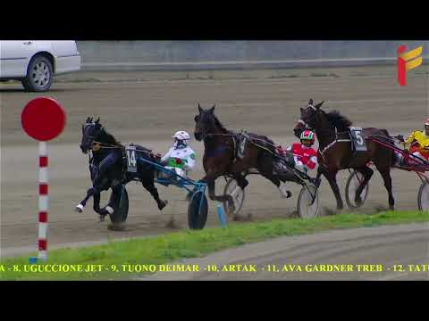 V Corsa del 27 Dicembre 2021 - Cat. G - Metri 1600