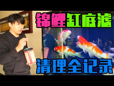 錦鯉魚缸