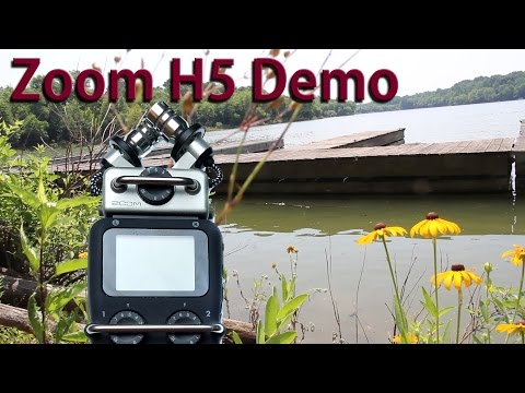 Zoom H5 Demo - Nature Sounds