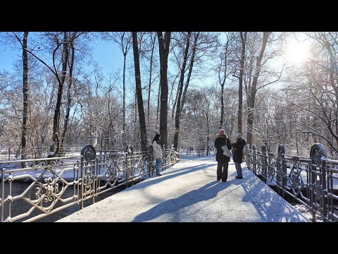 Relaxing Winter Walk Through Munich’s English Garden | 4K Munich Walk