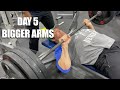 30 Day Blitz Day 5 Building Big Arms And Mistakes Beginners Make