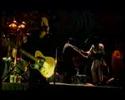 UB40 - Cést La Vie- Live In South Africa