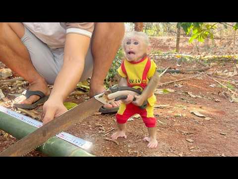 Seeing Lulu heartbroken - Dad tried everything to help her get over it