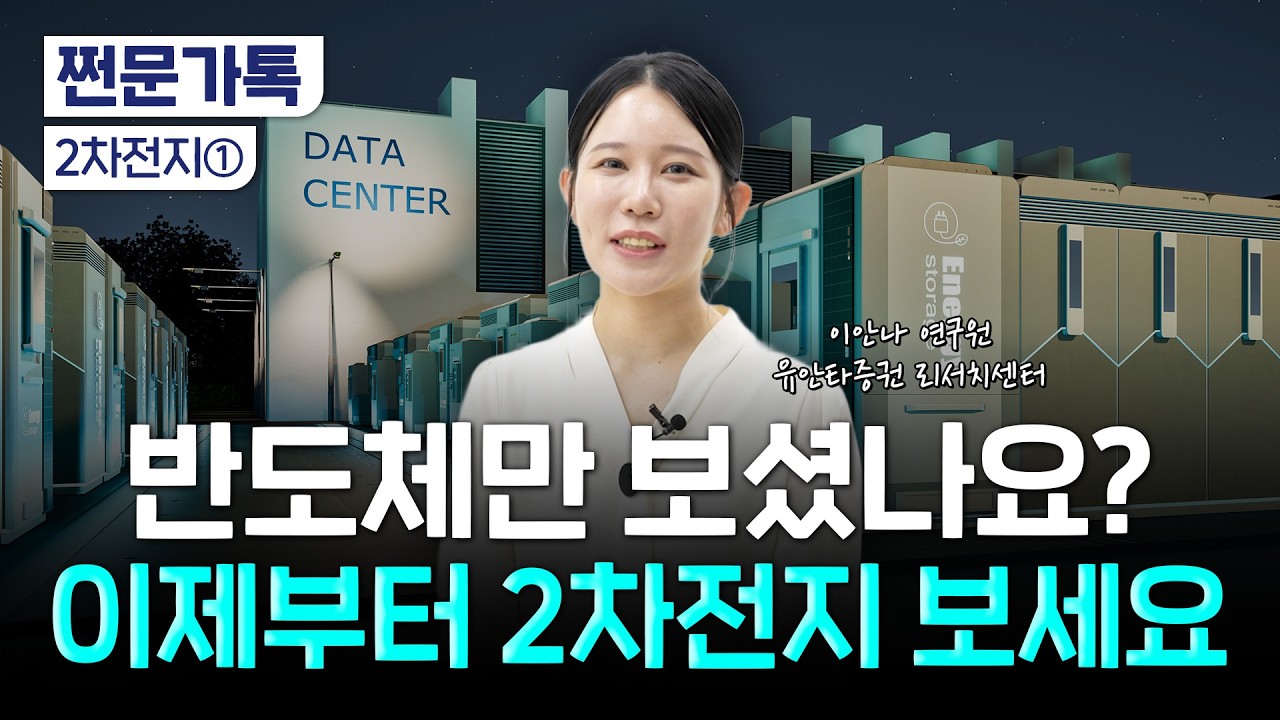 "드디어 AI 모멘텀 탑승한 2차전지주, ESS 성장 본격화 시작" | 이안나 유안타증권 연구원