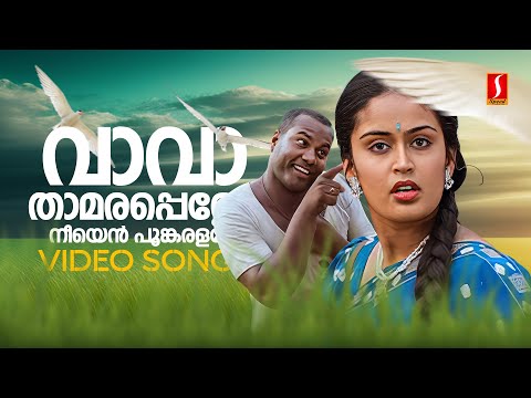 Vava Thamara Penne Video Song | Karumadikuttan | Kalabhavan Mani | nandhini | MG Sreekumar