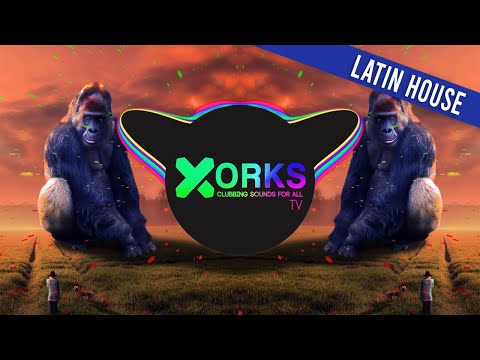 Avi S, Deny Sinto - Angry Ape