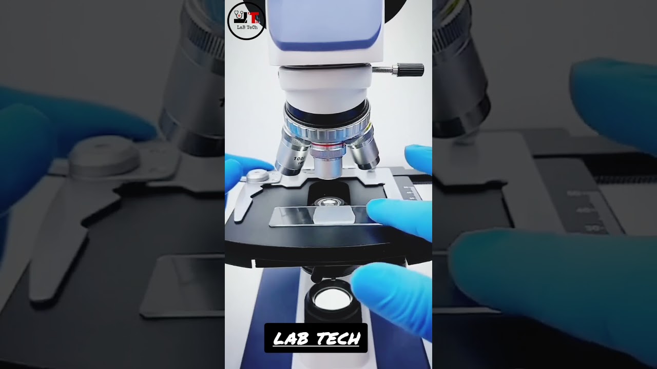 Sperm under the microscope #labtech #labtechnicians #microscope #shorts #sperm