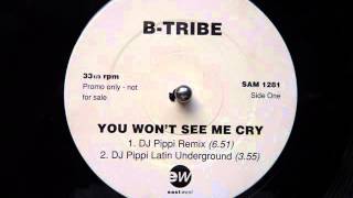 B Tribe - You Won't See Me Cry (DJ Pippi Remix)