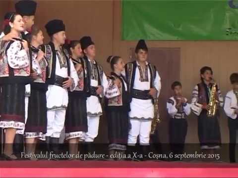 Pulsul Dornelor - Festivalul Fructelor de padure - Cosna, 6 septembrie 2015